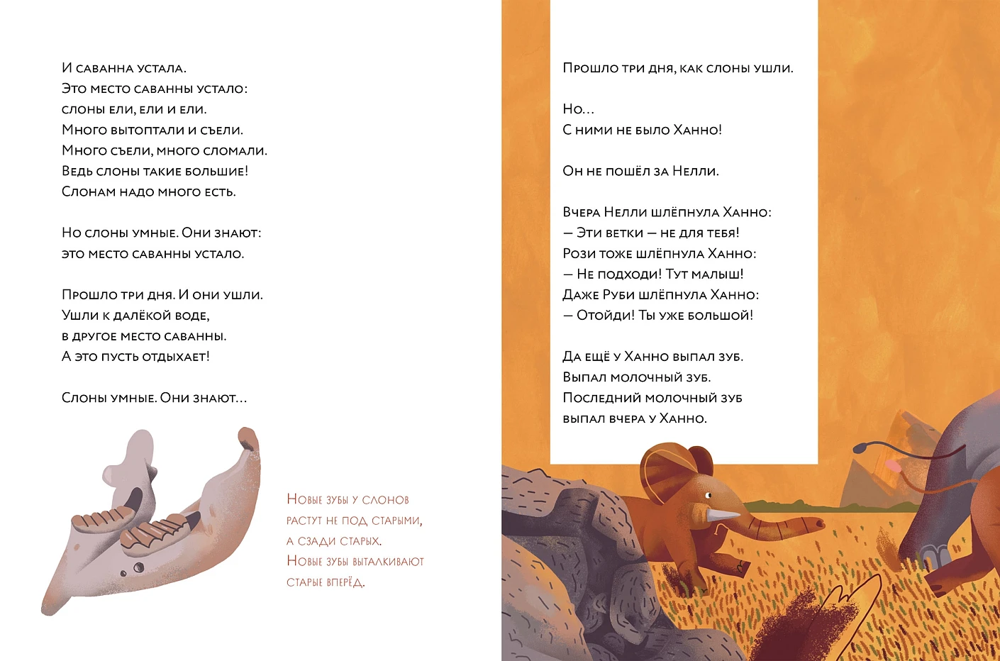 Слоны идут! — изображение 5