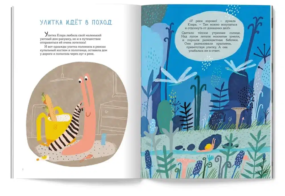 Улитка Клара — изображение 2